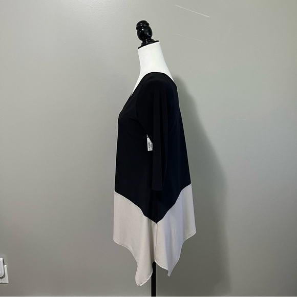 Sympli Color Block V-Neck Pullover Style 22269cb2 Asymmetrical Tunic Top - Picture 9 of 14